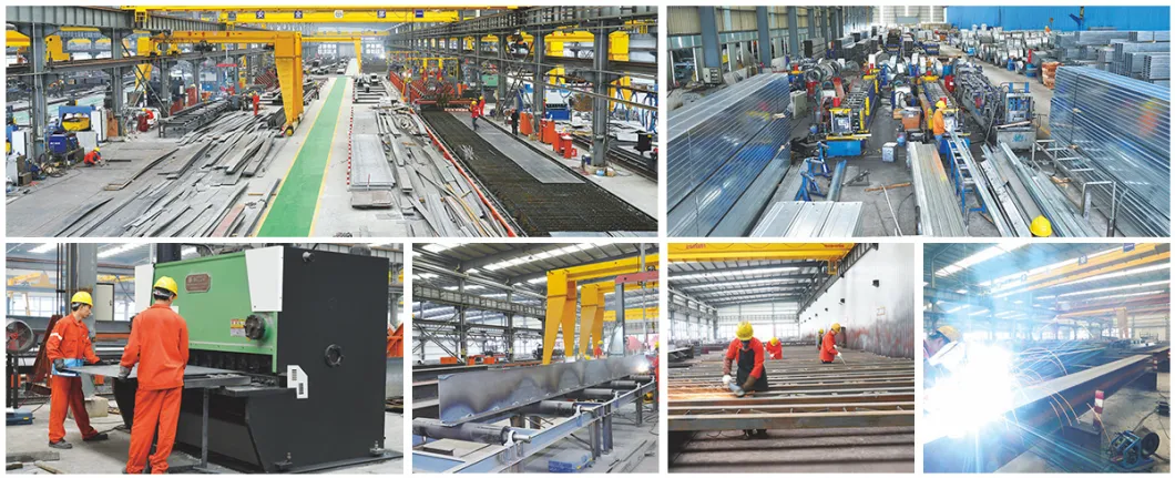 1mm 2mm 5mm 10mm Thickness Hot Cold Rolled Carbon/Aluminum/Galvanized/Copper/Stainless Steel Medium Plate/Sheet