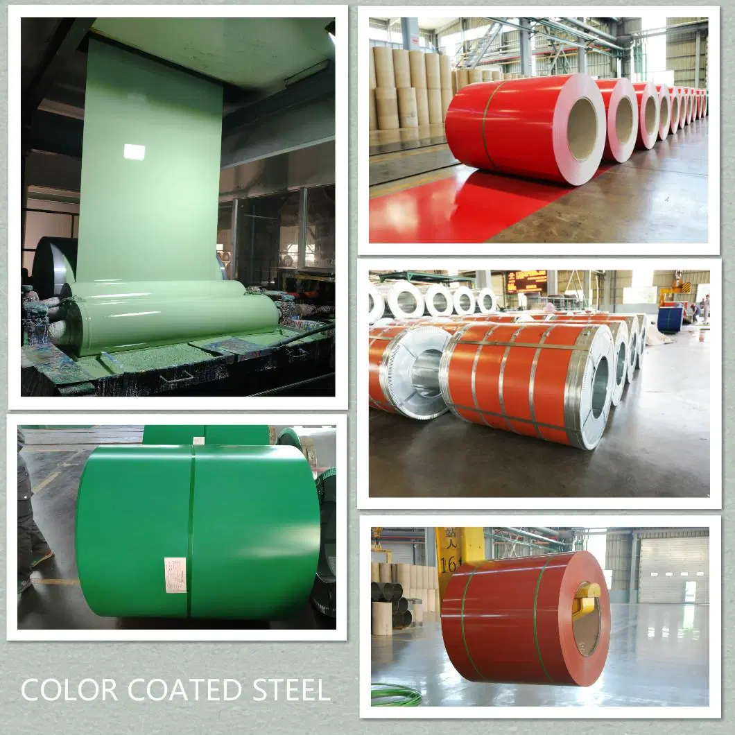 Highly Durable Package Well Hot Dipped Cold Rolled Pure Aluminum Color Coated Aluminum/Galvanzied/Galvalume/Prepainted Steel Sheet/ Coil with Factory Price