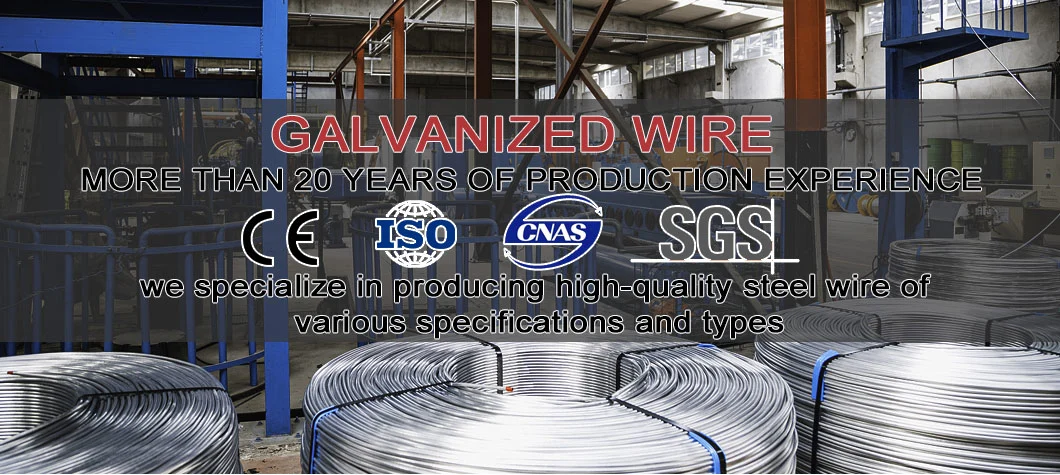 Competitive Price Galvanised Binding Wire Gi Steel Wire 9 10 12 14 16 Gauge Hot DIP Electro Galvanized Iron Wire