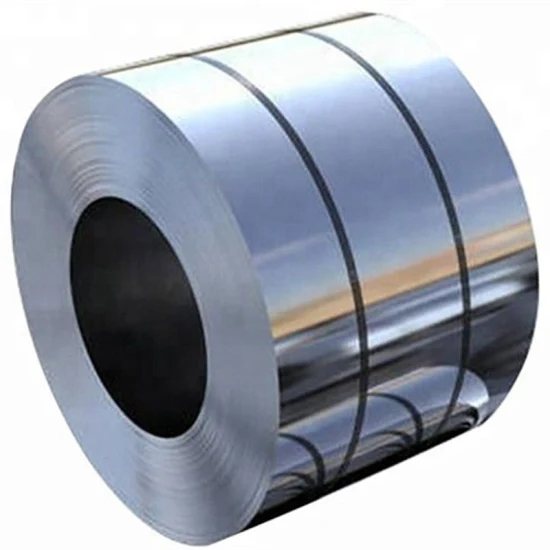 304 316L Hot/Cold Rolled/Stainless/PPGI, PPGL, Gi/Color Coated/Tinplate/Galvanized/Carbon/Zinc Coated/Galvalume/Steel Coil