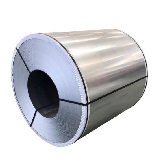 Prepainted Galvanized Steel Coil Sheet/PPGI